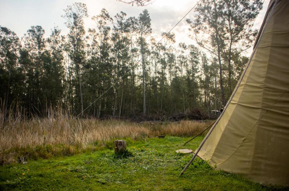 Forest Harmony Knysna Dış mekan fotoğraf