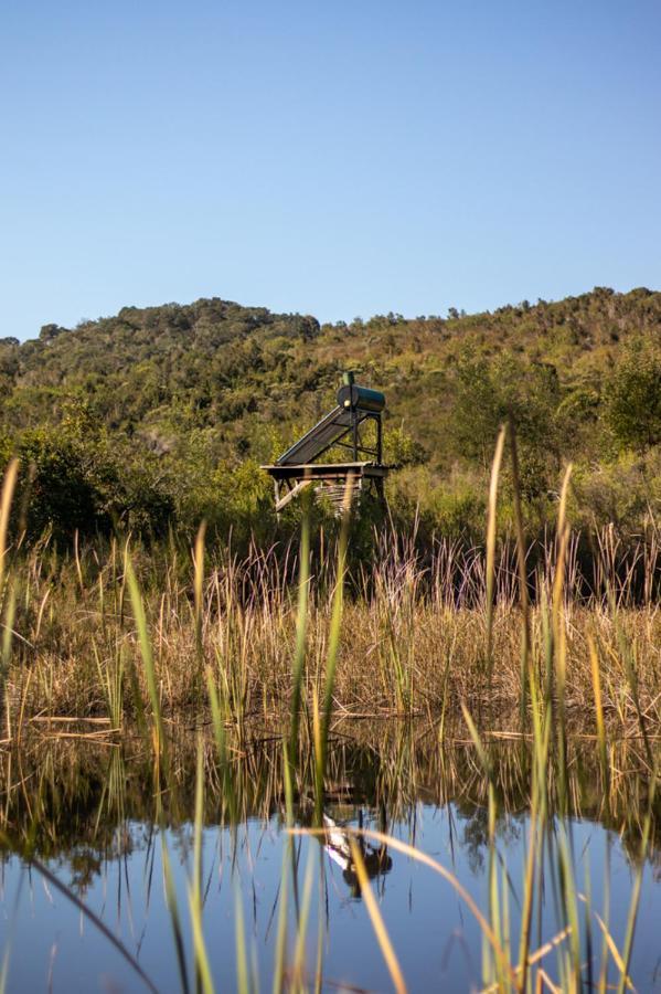Forest Harmony Knysna Dış mekan fotoğraf
