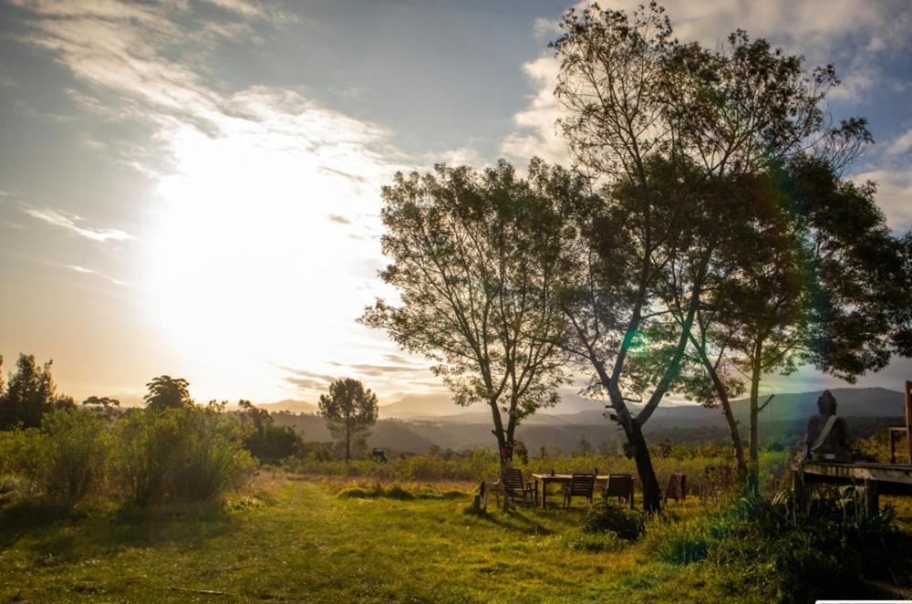 Forest Harmony Knysna Dış mekan fotoğraf