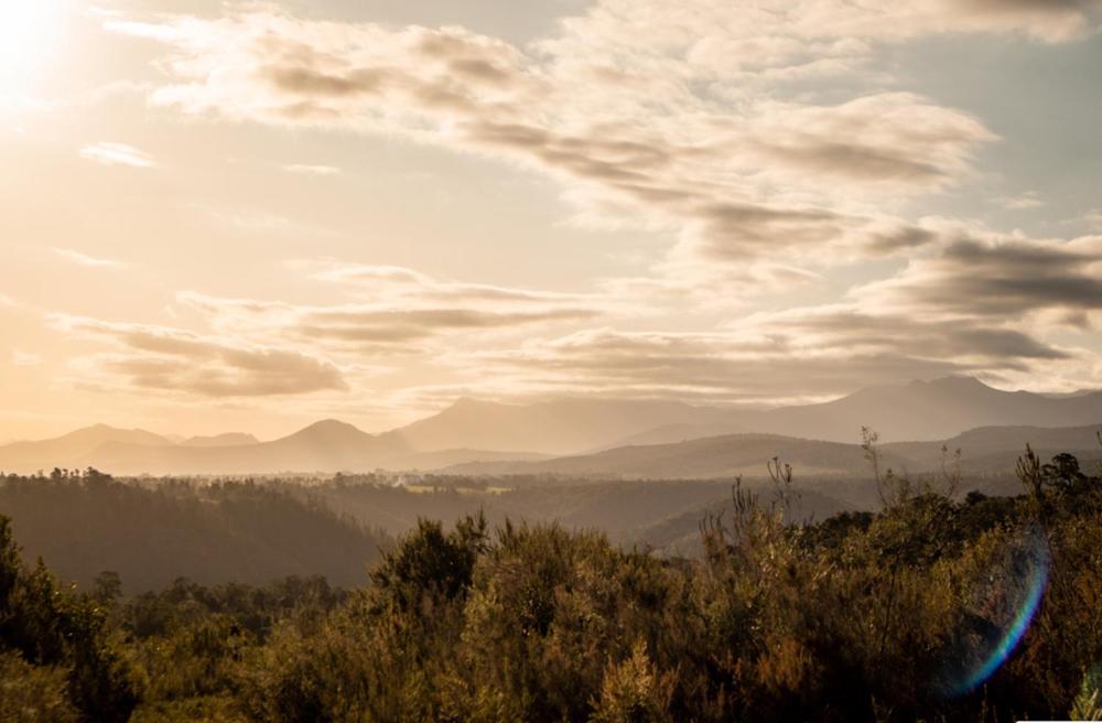 Forest Harmony Knysna Dış mekan fotoğraf